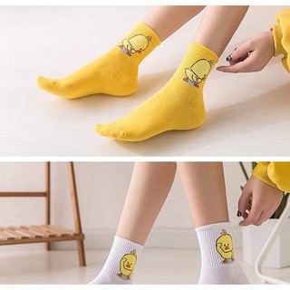 TẤT VỊT CON SIÊU XINH
