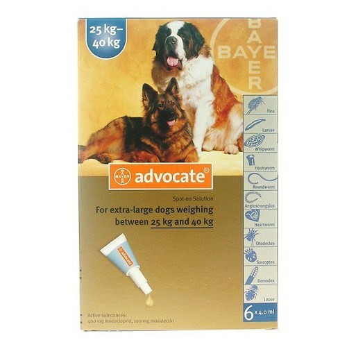 Thuốc nhỏ trị ve rận, ghẻ, giun sán - Advocate cho chó 25-40kg (Bayer)