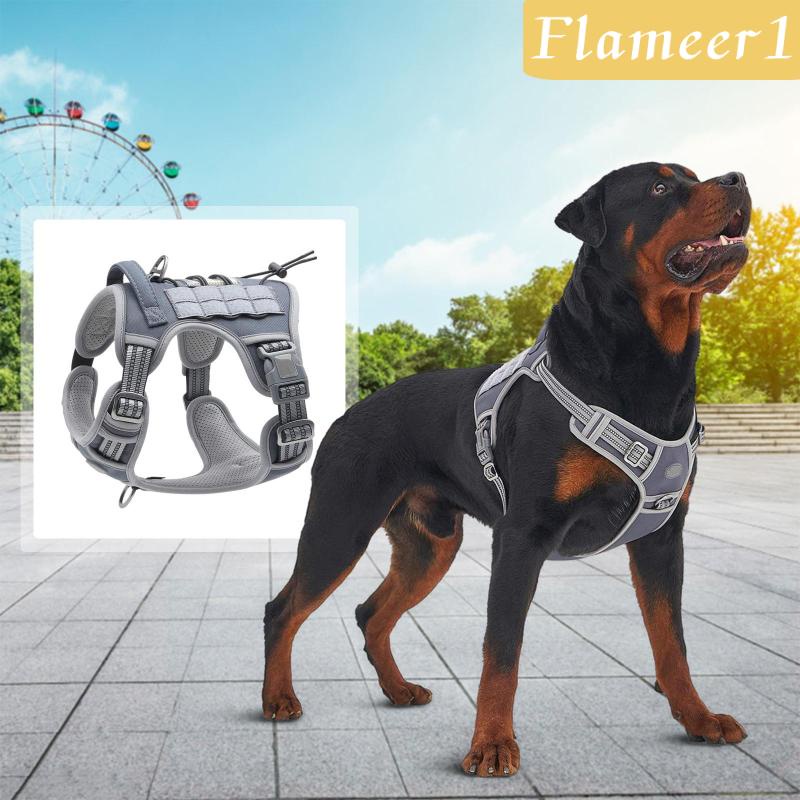 [Flameameer1] Áo Vest Phản Quang An Toàn Dành Cho Chó Cỡ Nhỏ / Vừa / Lớn