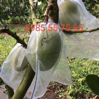 10 túi lưới bao trái mít có dây rút lớn