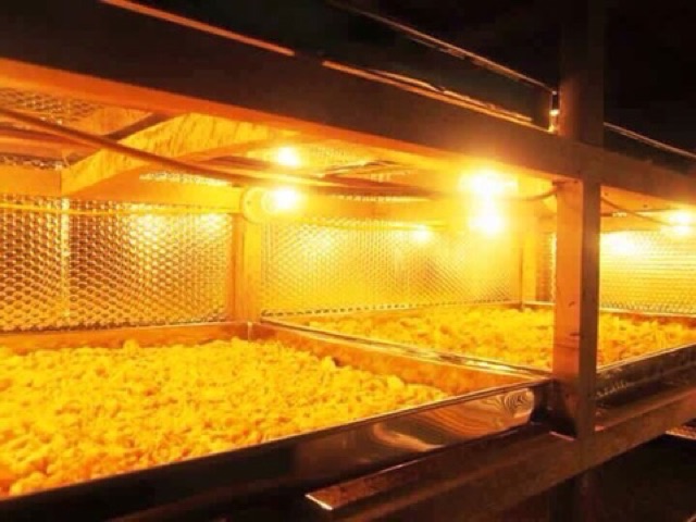 💥FLASH SALE💥100gr TINH BỘT NGHỆ NGUYÊN CHẤT BAO TEST | BigBuy360 - bigbuy360.vn