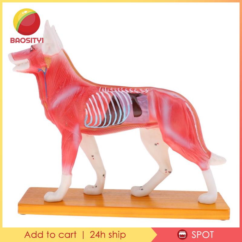 Bộ Dụng Cụ Học Tập Cho Cún Cưng [Baosity] [Baosity]