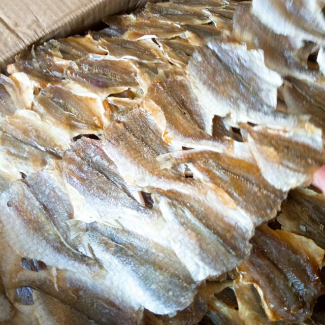 Khô Cá Đù (cá lù đù) xưởng nhà làm [GIÁ RẺ - CHẤT LƯỢNG],cá loại một chuẩn ngon, cá ngọt ko mặn [CÁ RỜI CON VÀ CÁ GHÉP] | BigBuy360 - bigbuy360.vn