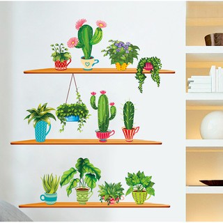 Decal Dán Tường Những Chậu Cây Xanh