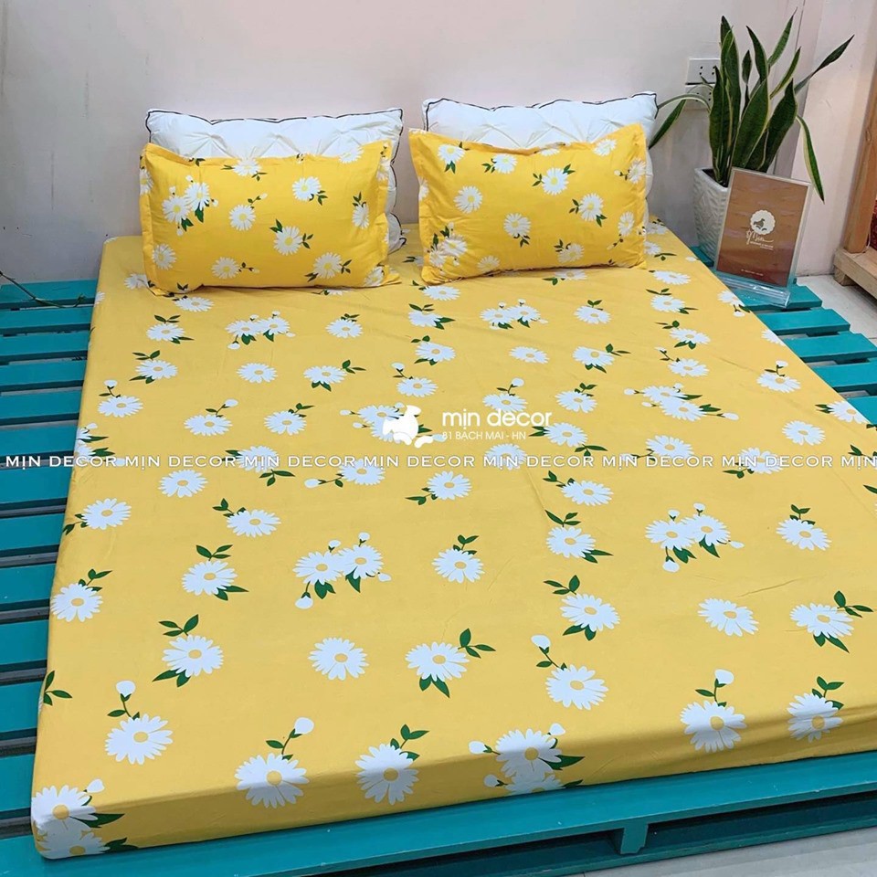 Drap Giường 💝 Bộ Ga + 2 Gối Cotton 3D Mềm Mịn - Cúc Vàng (Kèm Ảnh Thật)