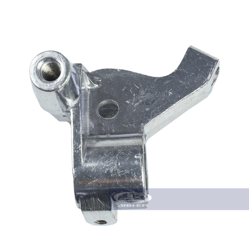 Cùi ampida (SYS) (RGV) RGV120-0737