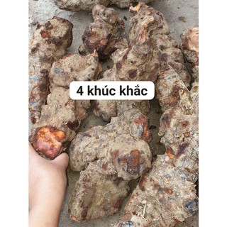 💥 THỔ PHỤC LINH ( KHÚC KHẮC)