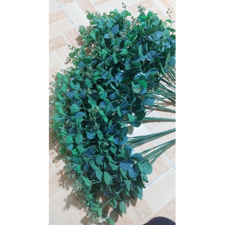 LÁ TÁO GIẢ .1 CỤM 16 NHÁNH