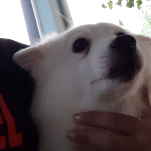 myduccomputer, Cửa hàng trực tuyến | BigBuy360 - bigbuy360.vn