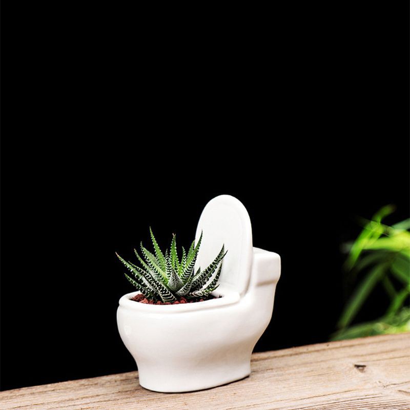 Chậu hoa mini hình bồn cầu vui nhộn chất lượng cao