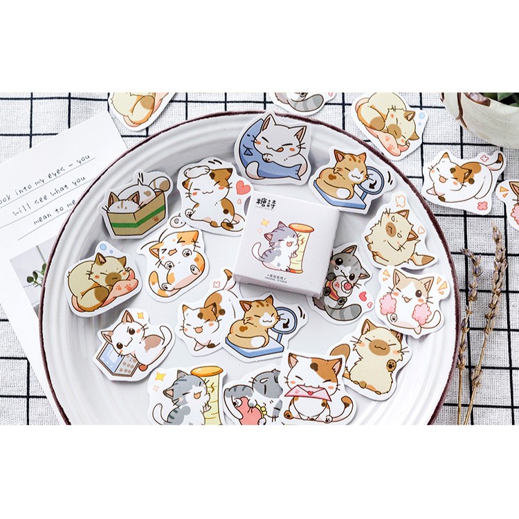 Hộp 45 miếng sticker mẫu những bé mèo con đáng yêu