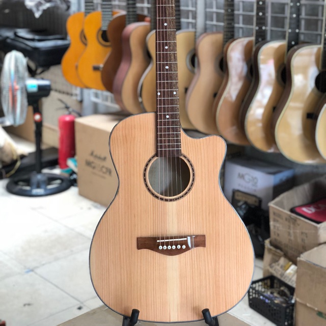 Đàn Guitar Acoustic GE-650