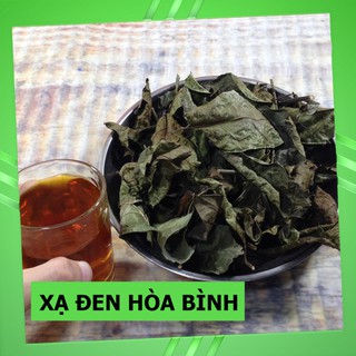 Cây Xạ Đen Hòa Bình ( Xạ Đen )