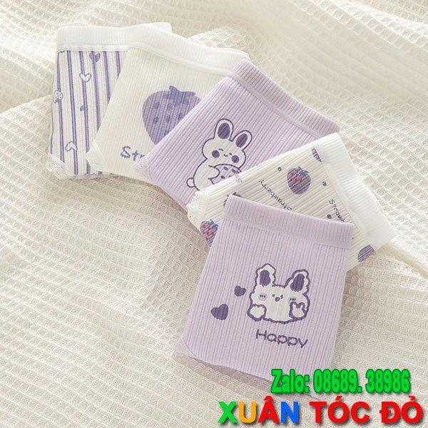 [Mã WASTDEP giảm 5K đơn bất kì] SỈ ZALO RẺ HƠN NHIỀU_ Lót 5 Kiểu Thỏ Tím Dâu Tây 5091 | BigBuy360 - bigbuy360.vn