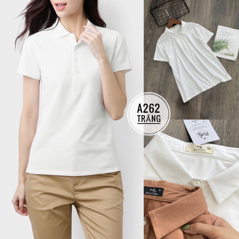 áo thun Polo t-shirt dư xịn vnxk siêu đẹp a262 | BigBuy360 - bigbuy360.vn