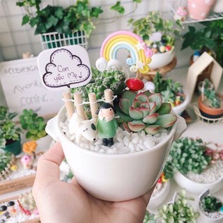 Đá sỏi trắng trang trí bể cá, chậu cây cảnh