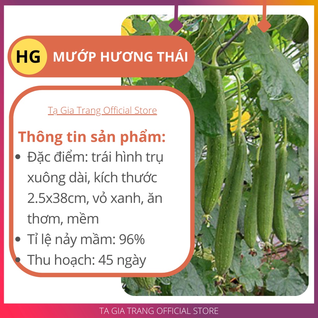 Hạt giống Mướp hương Thái Lan - Gói 10-20 hạt