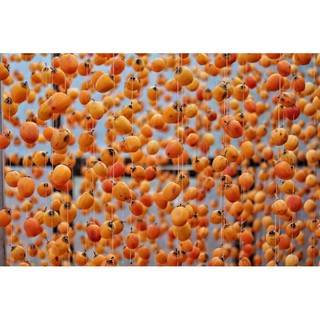 Hồng treo gió Đà Lạt