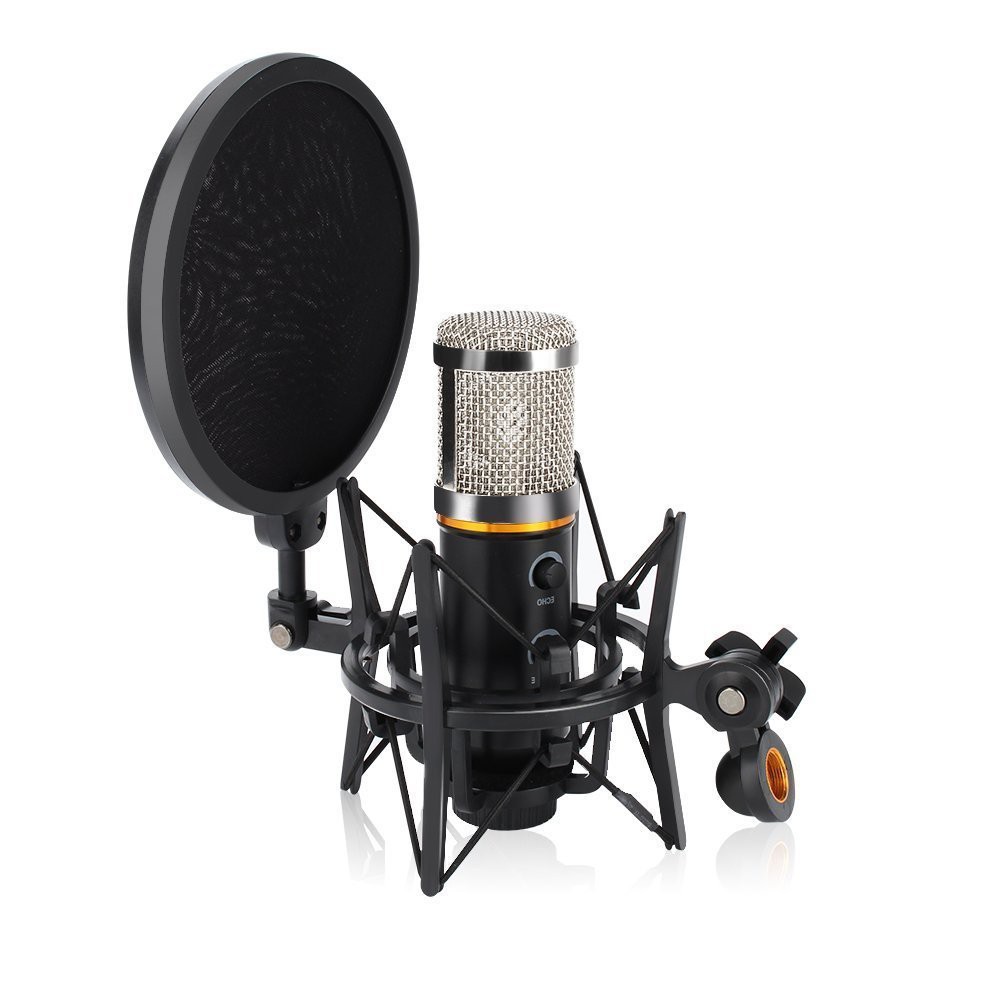 Bộ màng lọc âm kèm Shock mount cho Mic YL-101