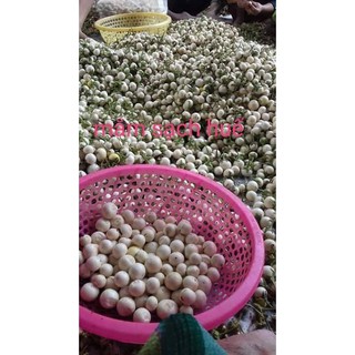 MẮM CÀ PHÁO