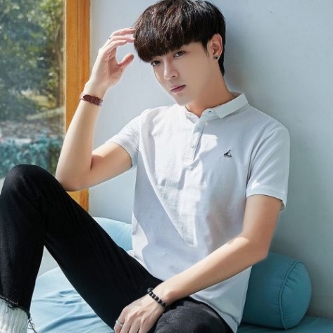 Big Sale Áo Thun Nam BoDy Ngắn Tay Cổ Bẻ Phong Cách Hàn Quốc Chất Coton Co Giản Mèm Mịn - Petals_store