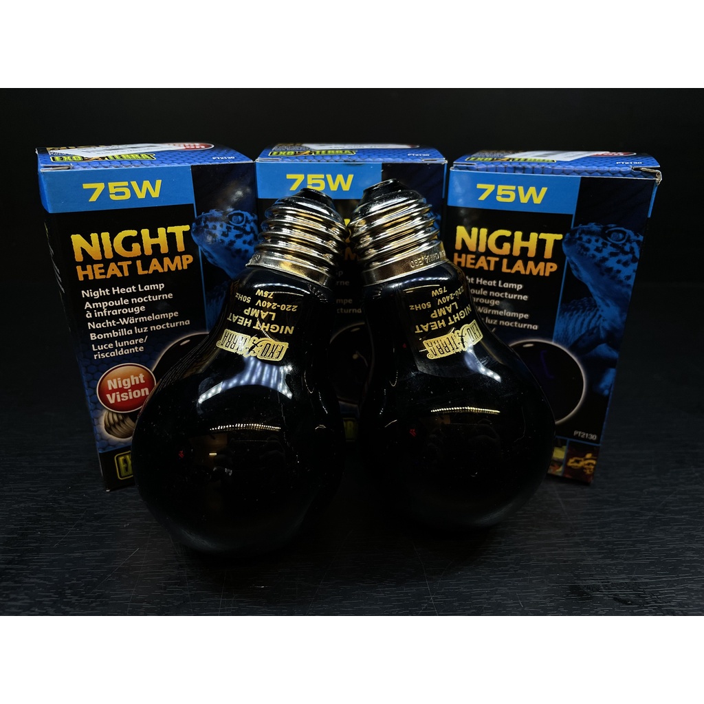 Đèn sưởi đêm nigh light 75w exoterra | Vietpetgarden