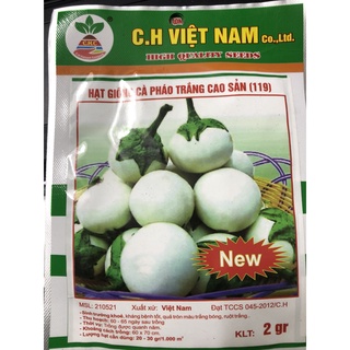 Hạt giống Cà pháo Xanh - Cà Tím 🍆 🌱