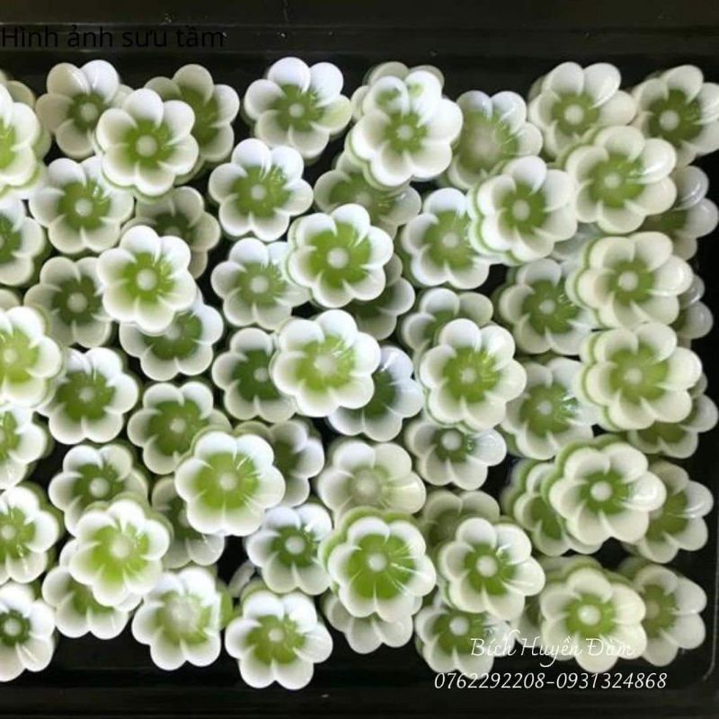 Sét 20 khuôn silicon mẹ con