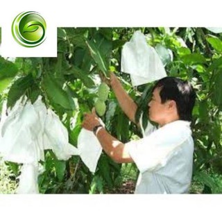 [FREESHIP_99K] Túi bọc trái cây bơ,ổi, xoài, na set 1000 túi