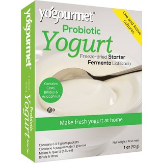 Men làm sữa chua Probiotic Yogourmet