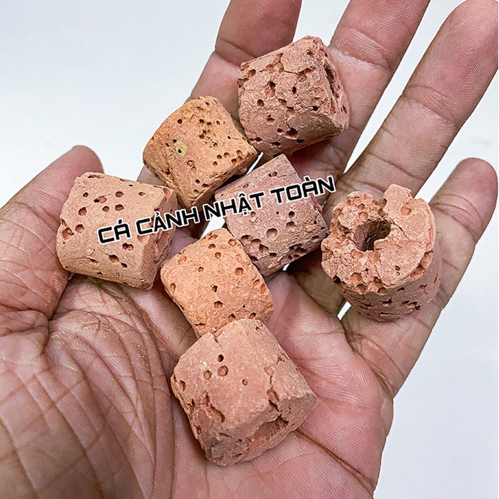 SỨ LỌC VIÊN SỨ VIÊN ĐỎ VẬT LIỆU LỌC CHO BỂ CÁ CẢNH