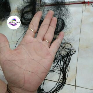 Lưới TÀNG HÌNH Cò Cao 6m