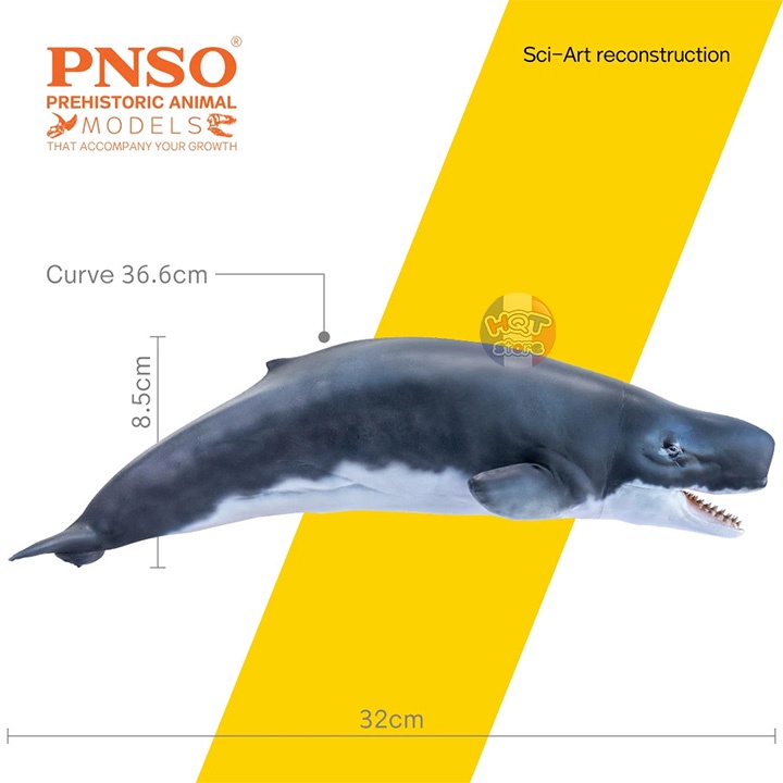Mô hình khủng long Cá Voi Livyatan Requena PNSO 56 2021 tỉ lệ 1/35