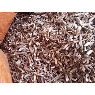 1kg sâm cau đỏ khô