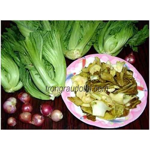Hạt giống Cải bẹ Đông Dư, cải bẹ dưa 20gr