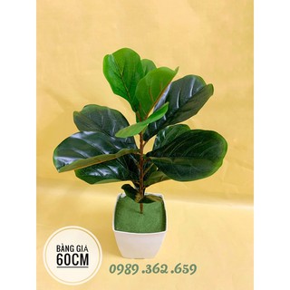 cây giả- cây bàng giả 60cm