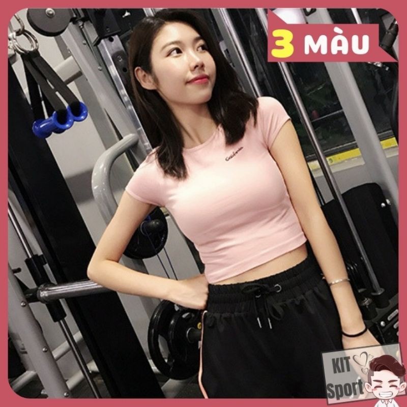 Xả áo croptop chất cotton siêu mịn | BigBuy360 - bigbuy360.vn