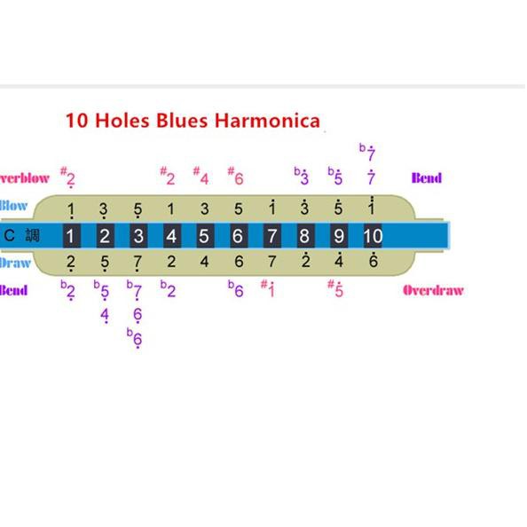 Kèn Harmonica 10 Lỗ Tone C D E F G A B 56d