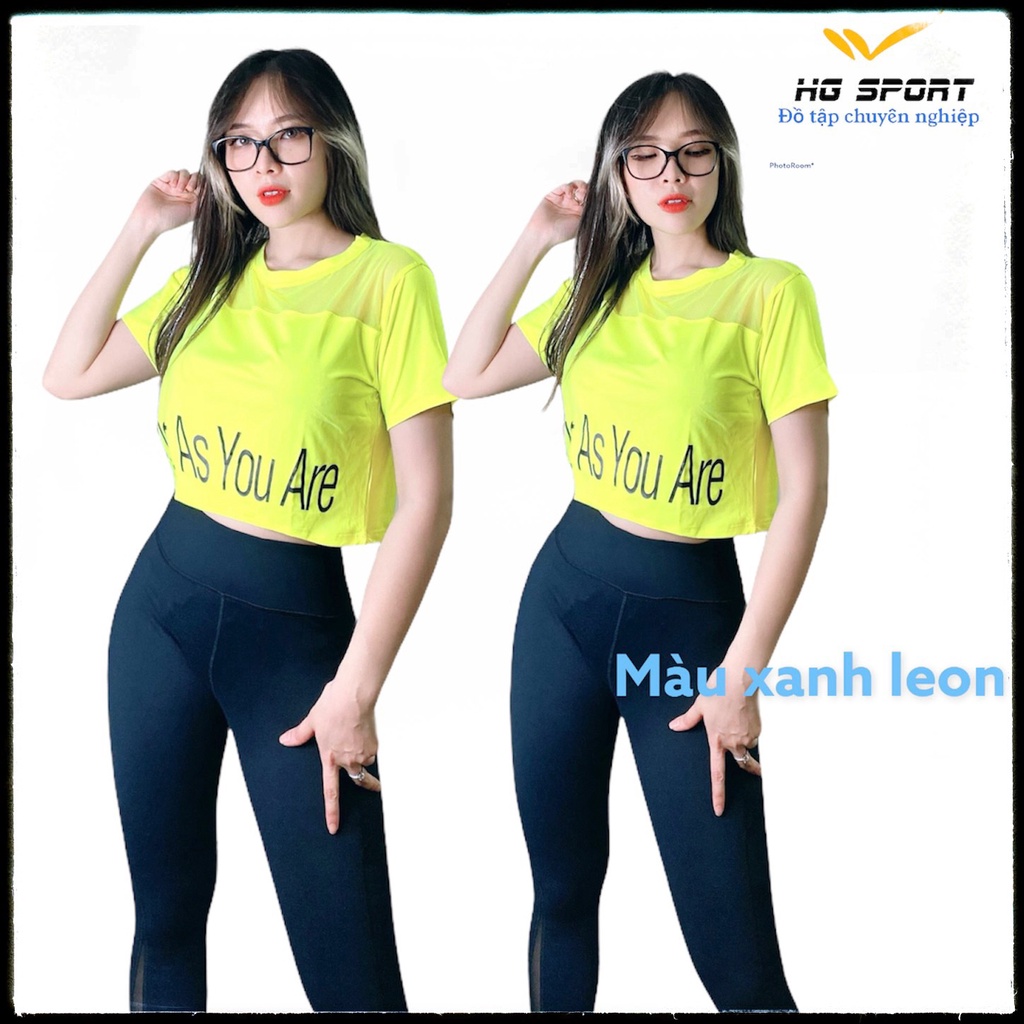 Áo Tập Gym, Croptop dáng rộng, Đồ Tập Zumba, Aerobic, Yoga nữ phối lưới Hg Sport CRT602