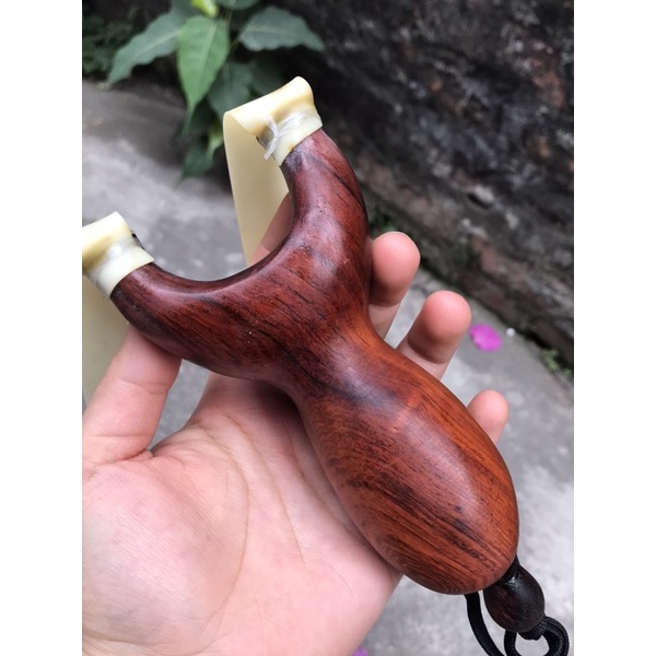 Ná gỗ hương