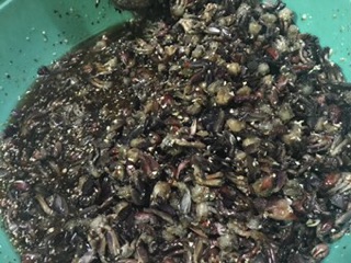 Ba khía miền Tây
