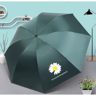 Ô Dù Hoa Cúc Hàn Quốc,Ô HOA CÚC TỰ ĐỘNG GẤP