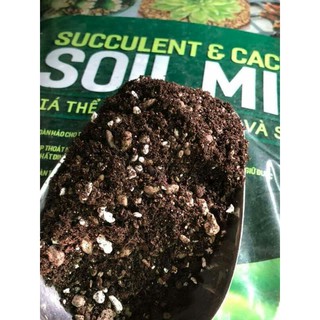 1KG SOIL MIX Giá Thể Trồng Sen Đá Xương Rồng