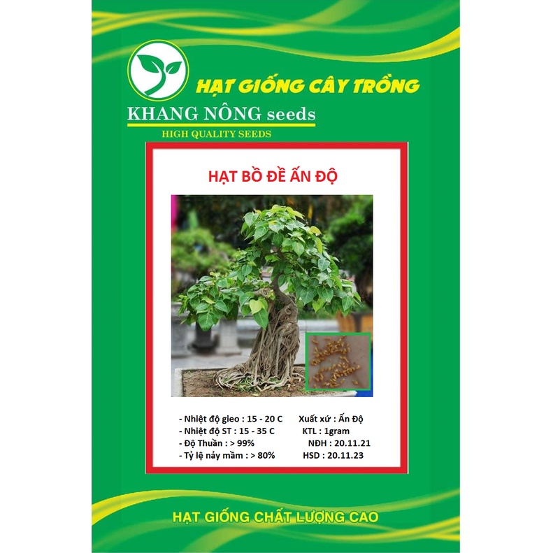 Hạt giống cây bồ đề ấn độ đỏ KNS3542 - 1 gram