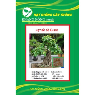 Hạt giống cây bồ đề ấn độ đỏ kns3542 - 1 gram
