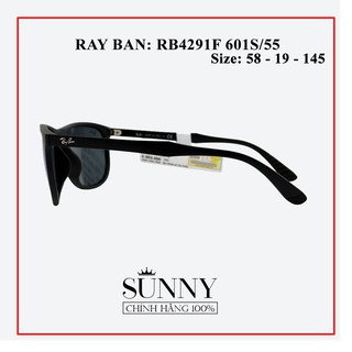 Kính Mát Unisex Rayban RB4291F