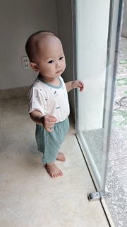 Bộ sợi tre Bon