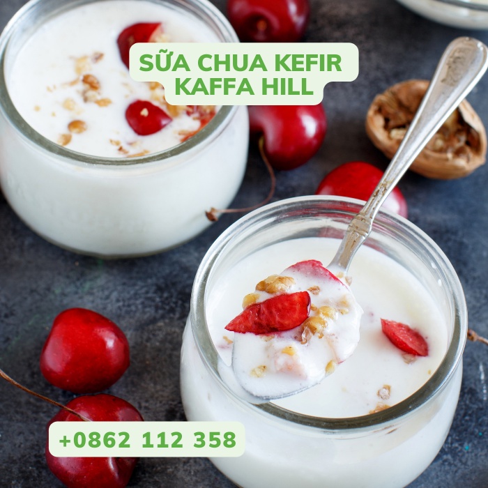 Sữa chua Kefir - Chai 500ml - Giảm cân - Giàu dinh dưỡng - ngừa loãng xương - Shopee Kaffa Hill