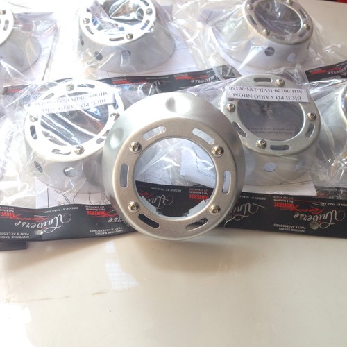 Ốp đít pô vario