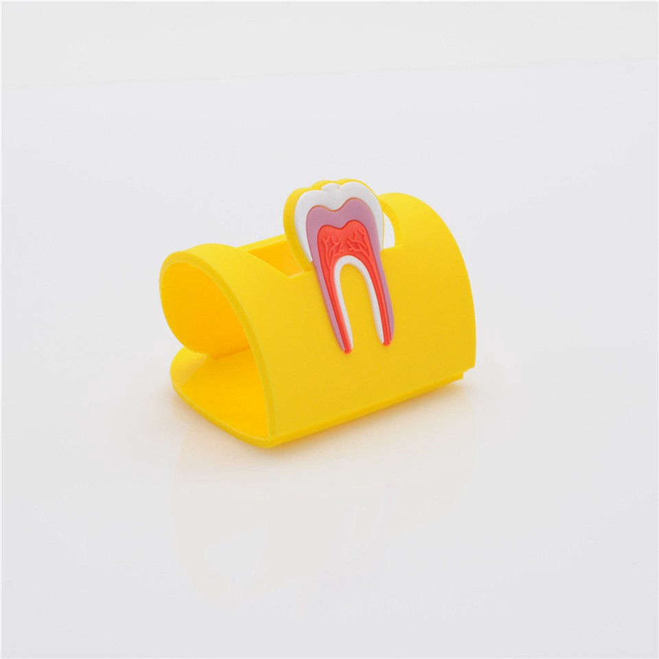 Dentist Lab Rubber Molar Shaped Name Card Holder Case Display Stand 6 Colors